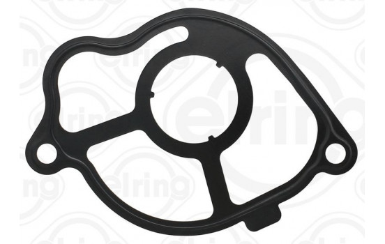 Gasket, vacuum pump