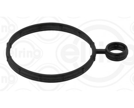 Gasket, vacuum pump