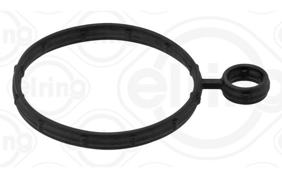 Gasket, vacuum pump