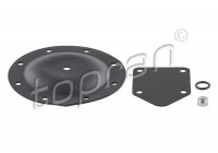 Membrane, vacuum pump