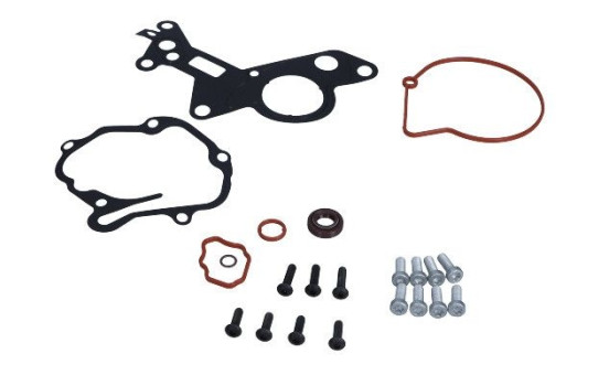 Repair kit, vacuum pump (brake system)