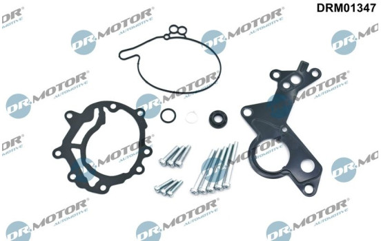 Repair kit, vacuum pump (brake system)