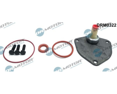 Repair kit, vacuum pump (brake system)