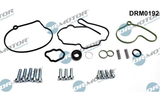 Repair kit, vacuum pump (brake system)