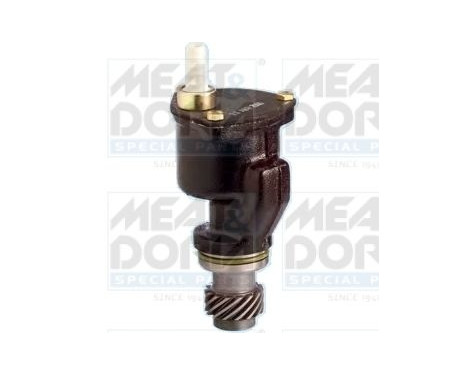 Vacuum pump, brake system