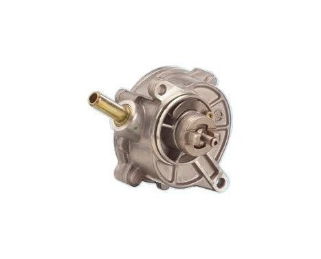 Vacuum Pump, braking system