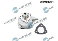Vacuum pump, braking system