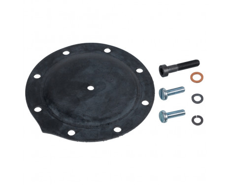 Diaphragm, vacuum pump 02442 FEBI