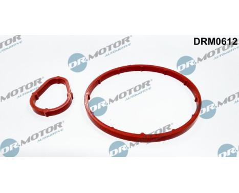 Gasket set, vacuum pump