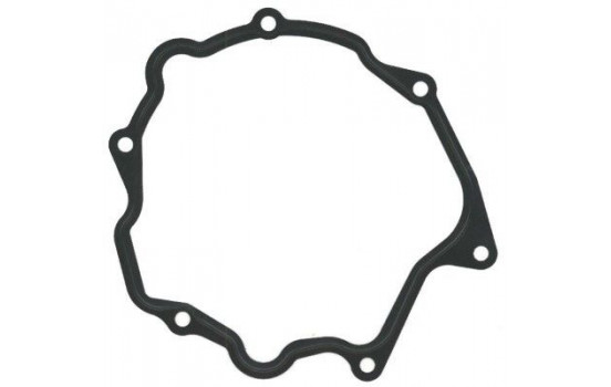 Gasket, vacuum pump