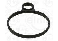 Gasket, vacuum pump