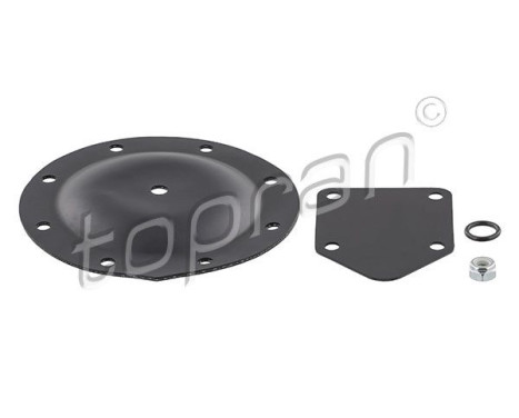 Membrane, vacuum pump