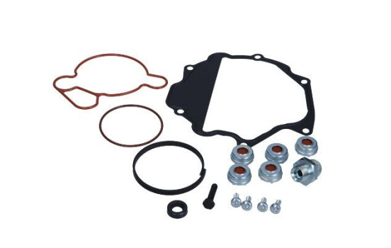 Repair kit, vacuum pump (brake system)