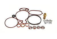 Repair kit, vacuum pump (brake system)
