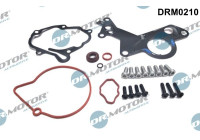 Repair kit, vacuum pump (brake system)