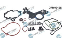 Repair kit, vacuum pump (brake system)