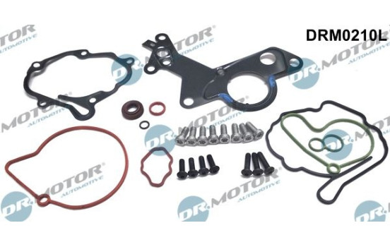 Repair kit, vacuum pump (brake system)