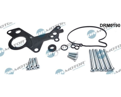 Repair kit, vacuum pump (brake system)