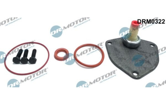 Repair kit, vacuum pump (brake system)