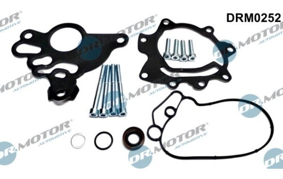 Repair kit, vacuum pump (brake system)