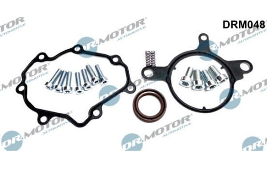 Repair kit, vacuum pump (brake system)