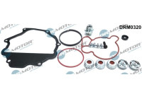 Repair kit, vacuum pump (brake system)