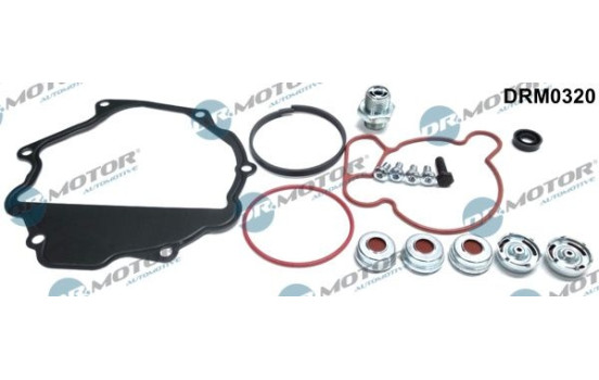 Repair kit, vacuum pump (brake system)