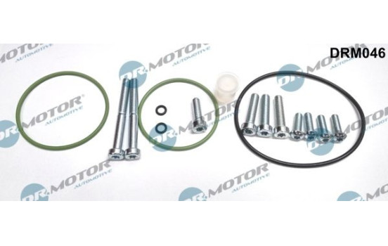 Repair kit, vacuum pump (brake system)