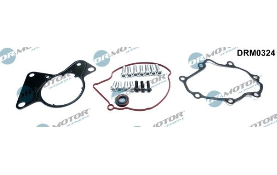 Repair kit, vacuum pump (brake system)