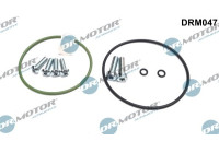 Repair kit, vacuum pump (brake system)