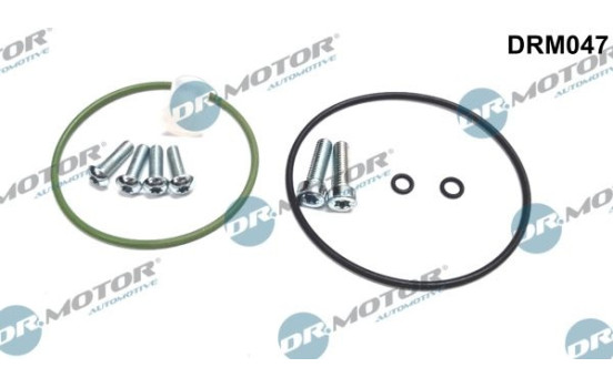 Repair kit, vacuum pump (brake system)