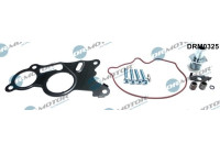 Repair kit, vacuum pump (brake system)