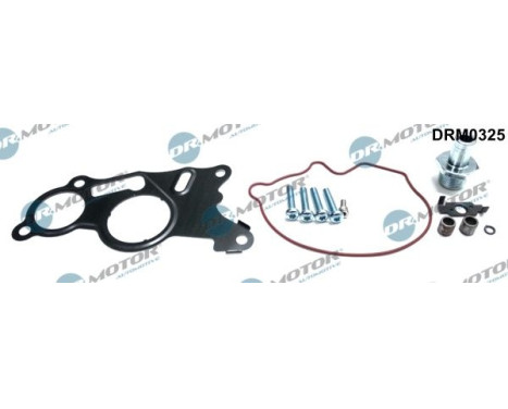 Repair kit, vacuum pump (brake system)
