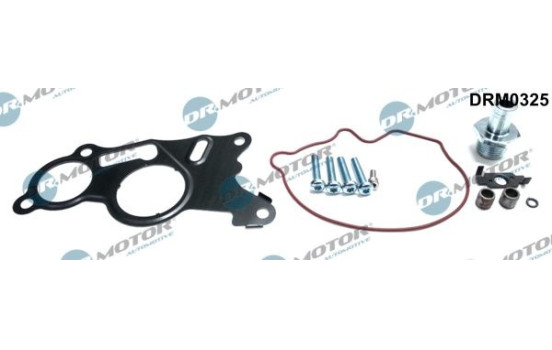 Repair kit, vacuum pump (brake system)