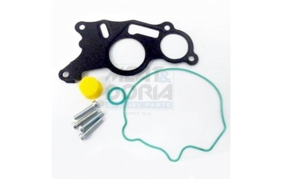 Repair Set, vacuum pump (braking system)