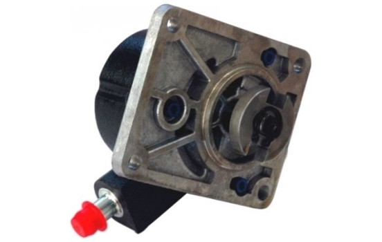 Vacuum Pump, brake system