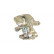 Brake Caliper 529662 ABS, Thumbnail 2