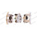Brake Caliper PREMIER, Thumbnail 3