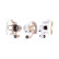 Brake Caliper, Thumbnail 2