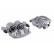 Brake caliper, Thumbnail 2