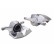 Brake caliper, Thumbnail 2
