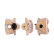 Brake caliper, Thumbnail 2