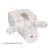 caliper ADBP450172 Blue Print, Thumbnail 2