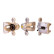 Caliper, Thumbnail 2