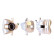 Caliper, Thumbnail 2