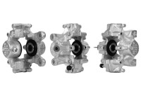 Caliper