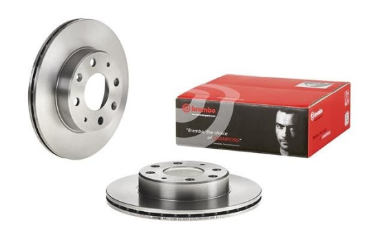 Brake Disc 09.3102.10 Brembo, Image 3