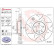Brake disc 09.A773.1S Brembo