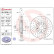 Brake disc 09.D209.1X Brembo, Thumbnail 2