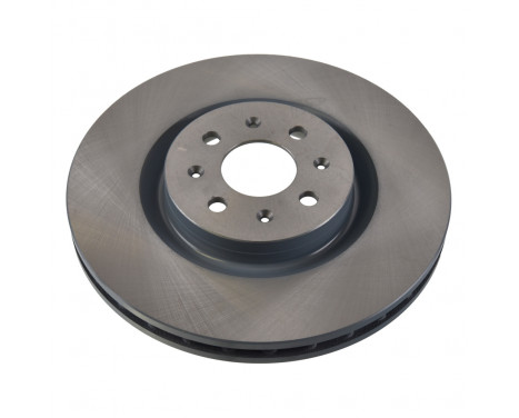 Brake Disc 106491 FEBI